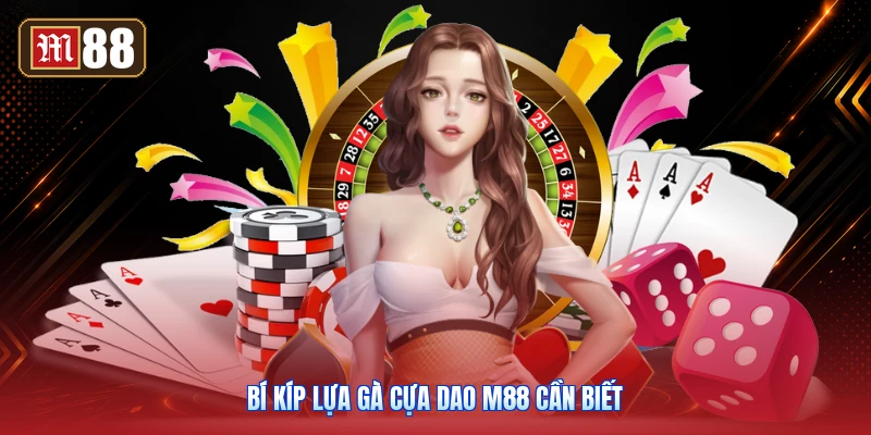 Bí Kíp Lựa Gà Cựa Dao M88 Cần Biết