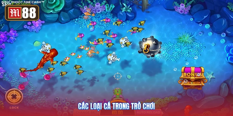 Các Loại Cá Trong Trò Chơi