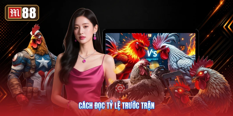 Cách Đọc Tỷ Lệ Trước Trận