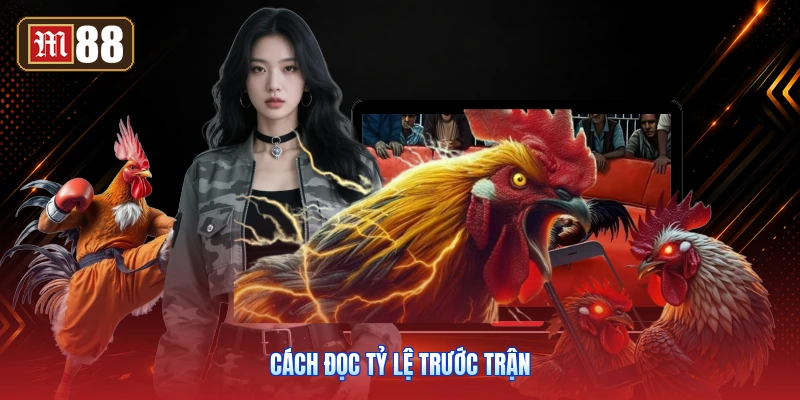 Cách Đọc Tỷ Lệ Trước Trận