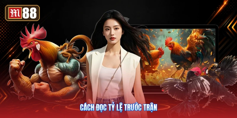 Cách Đọc Tỷ Lệ Trước Trận