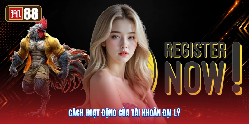 Cách Hoạt Động Của Tài Khoản Đại Lý