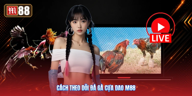 Cách Theo Dõi Đá Gà Cựa Dao M88