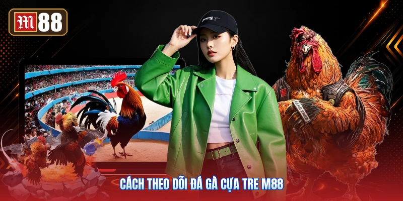 Cách Theo Dõi Đá Gà Cựa Tre M88