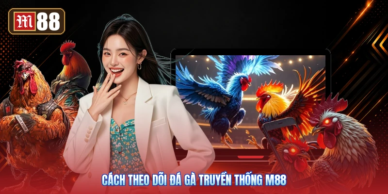Cách Theo Dõi Đá Gà Truyền Thống M88