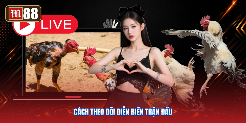 Cách Theo Dõi Diễn Biến Trận Đấu