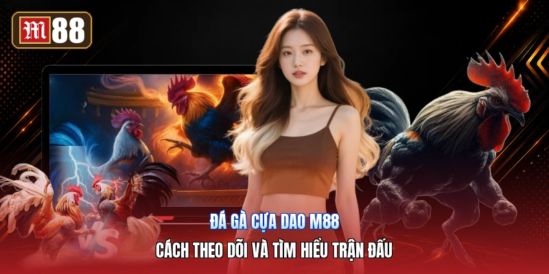 Đá Gà Cựa Dao M88 – Cách Theo Dõi Và Tìm Hiểu Trận Đấu
