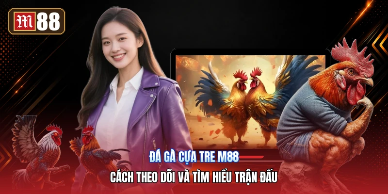Đá Gà Cựa Tre M88 – Cách Theo Dõi Và Tìm Hiểu Trận Đấu