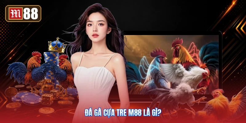 Đá Gà Cựa Tre M88 Là Gì?