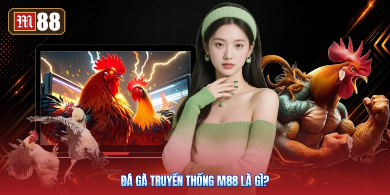 Đá Gà Truyền Thống M88 Là Gì?