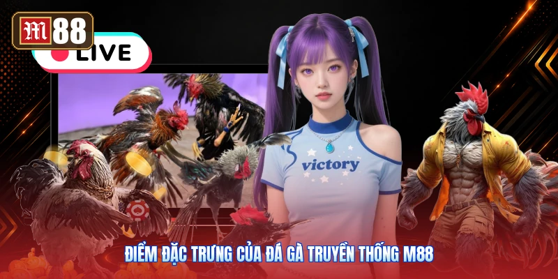 Điểm Đặc Trưng Của Đá Gà Truyền Thống M88