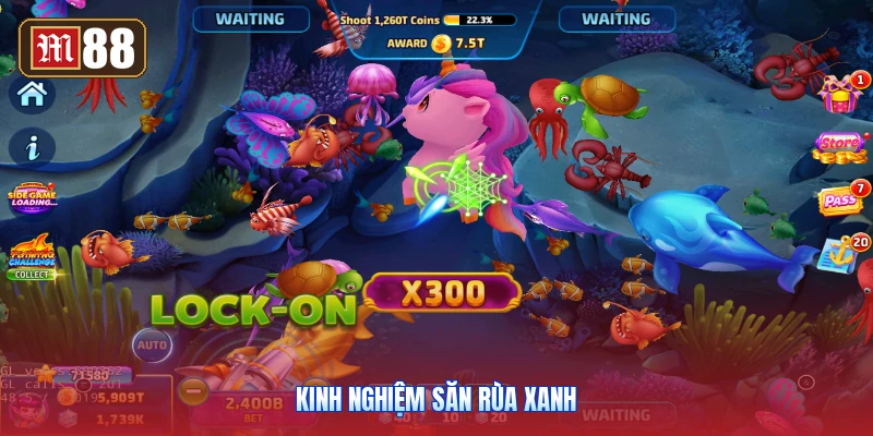 Kinh Nghiệm Săn Rùa Xanh