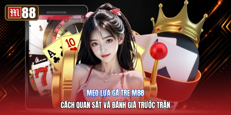 Mẹo Lựa Gà Tre M88 – Cách Quan Sát Và Đánh Giá Trước Trận