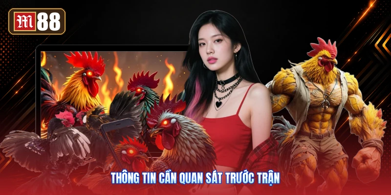 Thông Tin Cần Quan Sát Trước Trận
