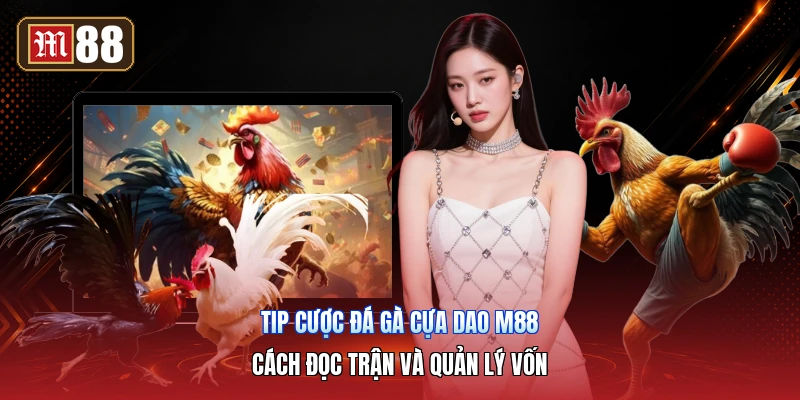 Tip Cược Đá Gà Cựa Dao M88 – Cách Đọc Trận Và Quản Lý Vốn