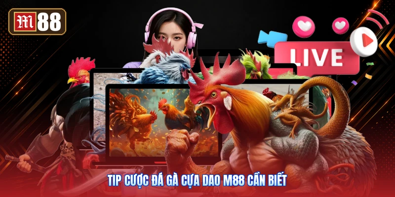 Tip Cược Đá Gà Cựa Dao M88 Cần Biết
